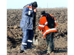 Оновлений шлях Олександрівка — Кропивницький — Миколаїв зазеленіє
